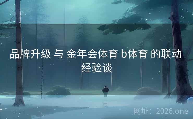 品牌升级 与 金年会体育 b体育 的联动 经验谈