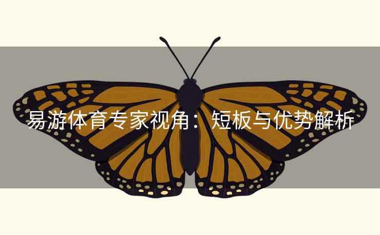 易游体育专家视角：短板与优势解析