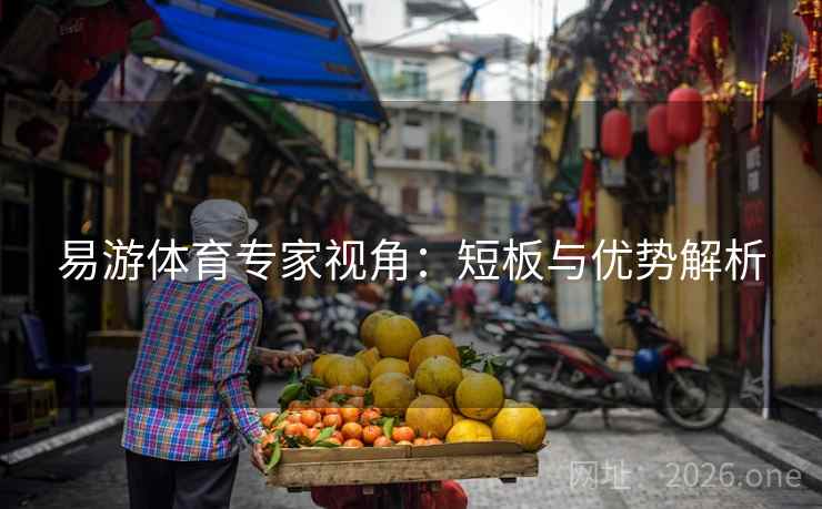 易游体育专家视角：短板与优势解析