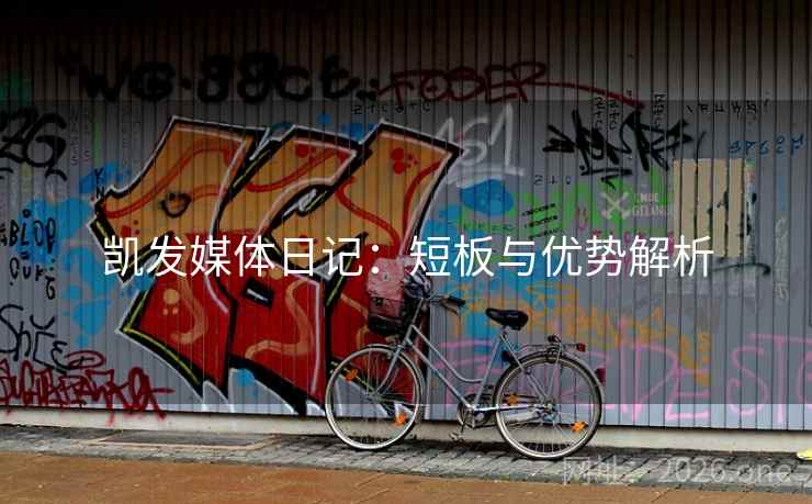 凯发媒体日记：短板与优势解析