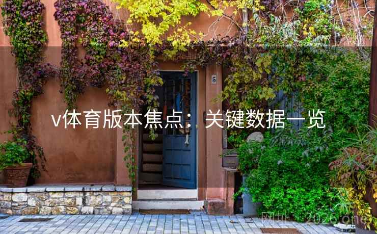 v体育版本焦点：关键数据一览