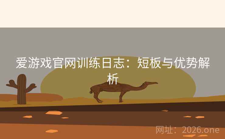 爱游戏官网训练日志：短板与优势解析