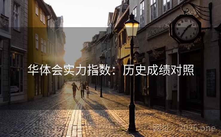 华体会实力指数：历史成绩对照