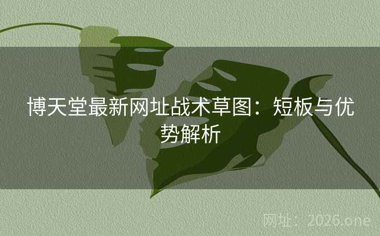 博天堂最新网址战术草图：短板与优势解析