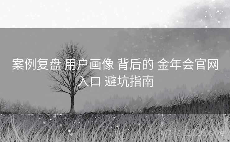 案例复盘 用户画像 背后的 金年会官网入口 避坑指南
