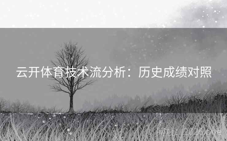 云开体育技术流分析：历史成绩对照
