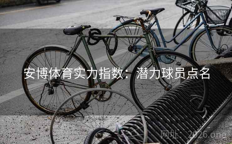 安博体育实力指数：潜力球员点名