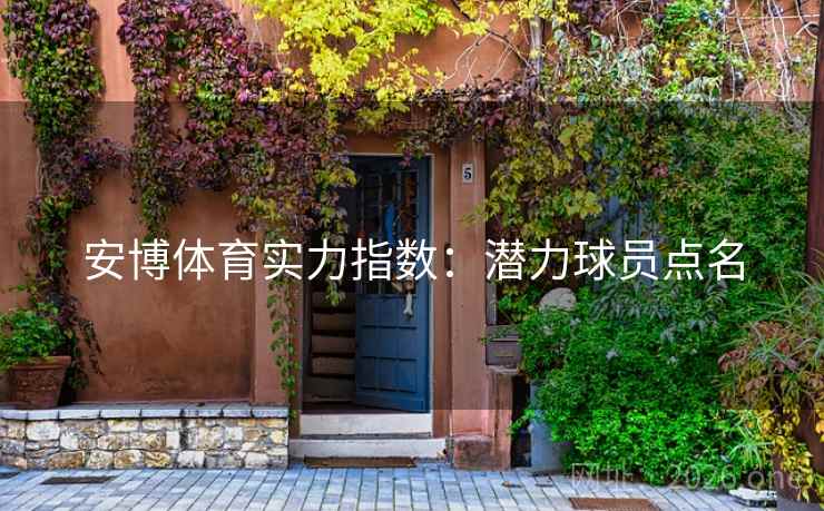 安博体育实力指数：潜力球员点名