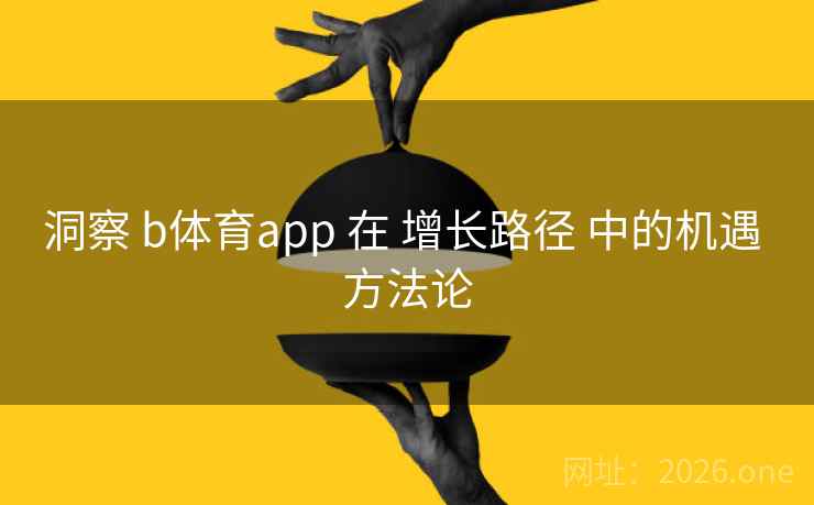 洞察 b体育app 在 增长路径 中的机遇 方法论