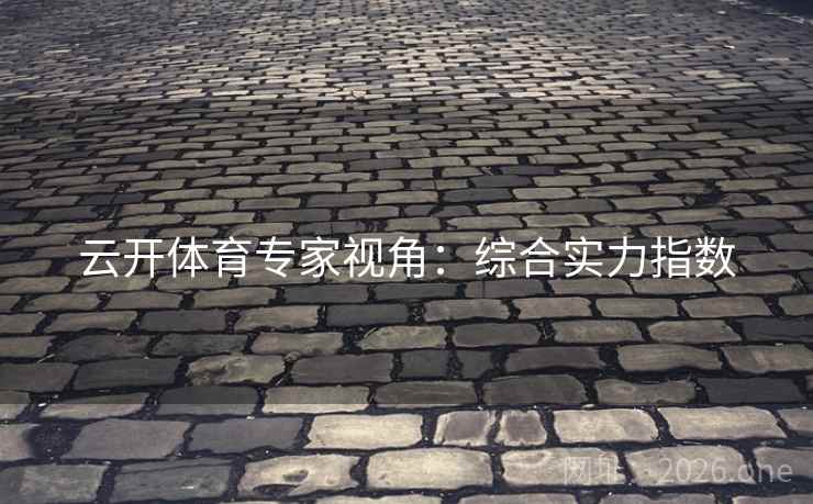 云开体育专家视角：综合实力指数
