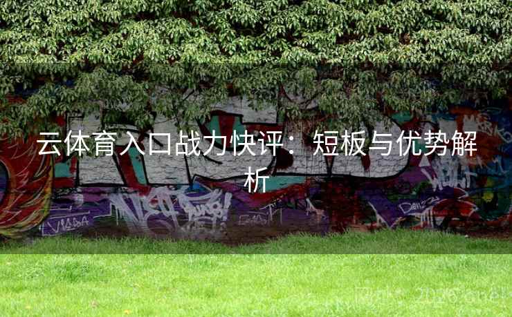 云体育入口战力快评：短板与优势解析