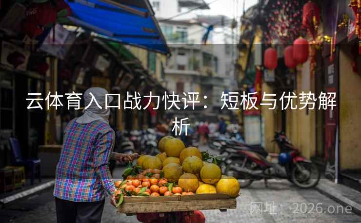 云体育入口战力快评：短板与优势解析