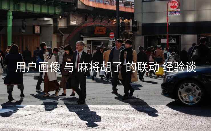 用户画像 与 麻将胡了 的联动 经验谈