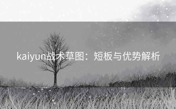 kaiyun战术草图：短板与优势解析